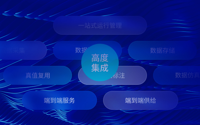 Comprehensive Functional Integration